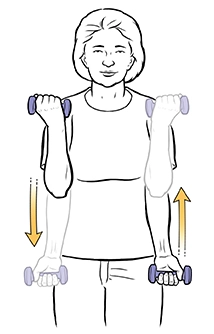 Duoble arm static bicep curl with dumbbell