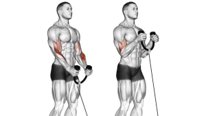 Cable Rope Hammer Curl