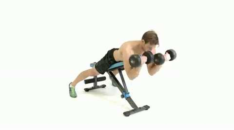 Prone Dumbbell Spider Curl