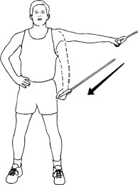 Coracobrachialis muscle - Origin, Insertion, Function, Exercise