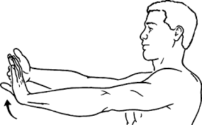Wrist flexor stretch