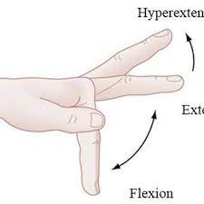 finger flexion extension