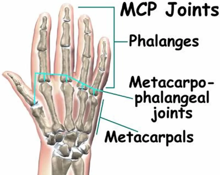 Pudendal Neuralgia - Physiopedia