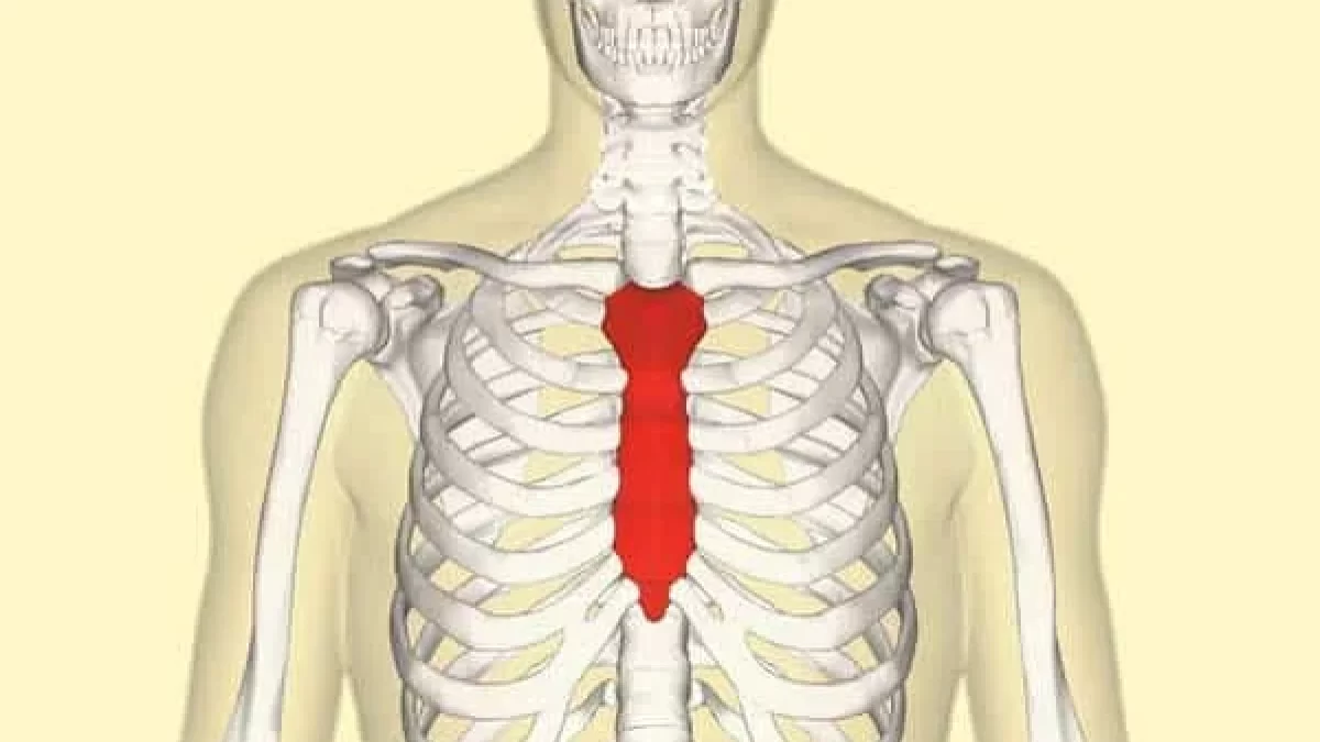 Sternum Pain: Causes, Symptoms, and Treatment Options - JOI