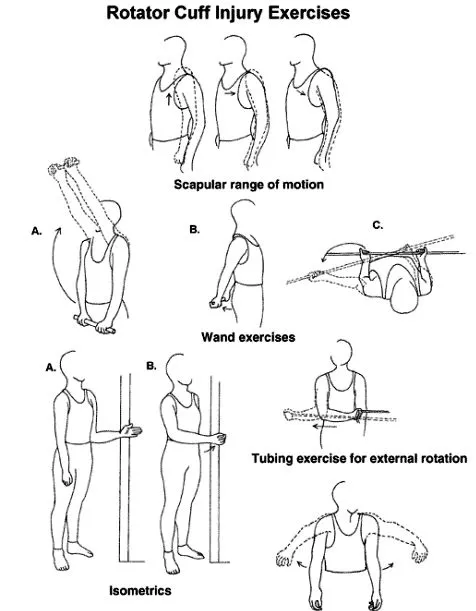 best-exercise-for-rotator-cuff-muscles-stretch-strength