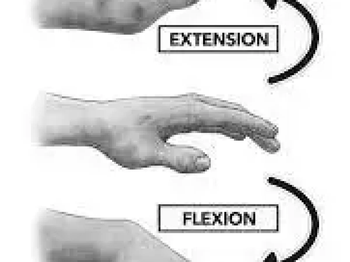 Wrist flexion deals and extension