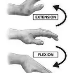 wrist flexion and extension