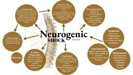 neurogenic shock