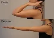 Elbow-Flexion-_-Extension