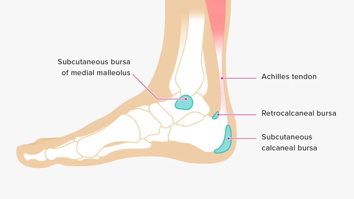 Drop Foot: Causes, Treatments, and More