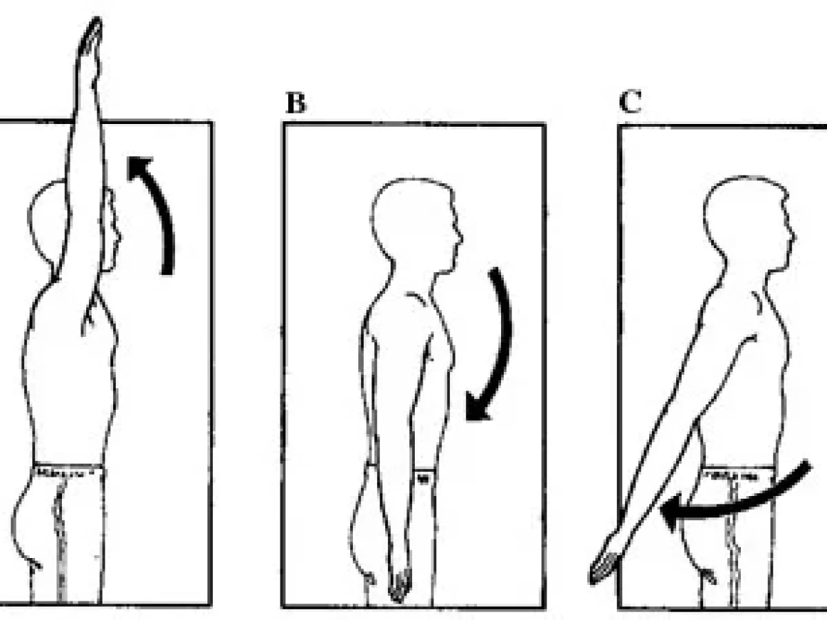 shoulder flexion vs extension
