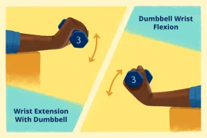 Strengthening exercise of wrist flexion and wrist extention
