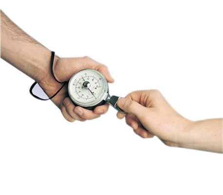 pinch grip dynamometer