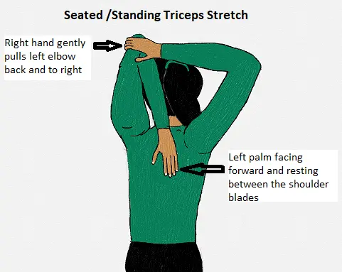 Seated or Standing Triceps Stretch