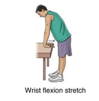 wrist flexion stretch