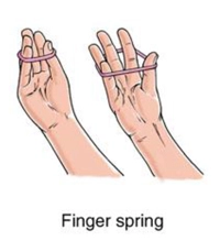 Finger-Spring