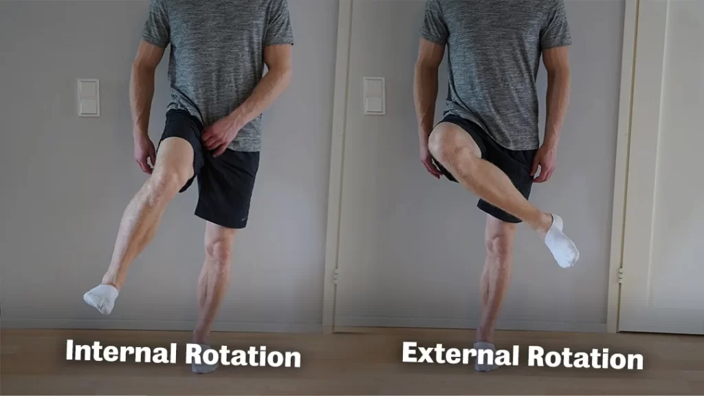 Hip Internal Rotation and External Rotation