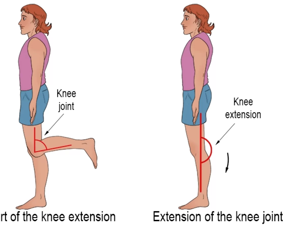 Prone Knee Flexion Test