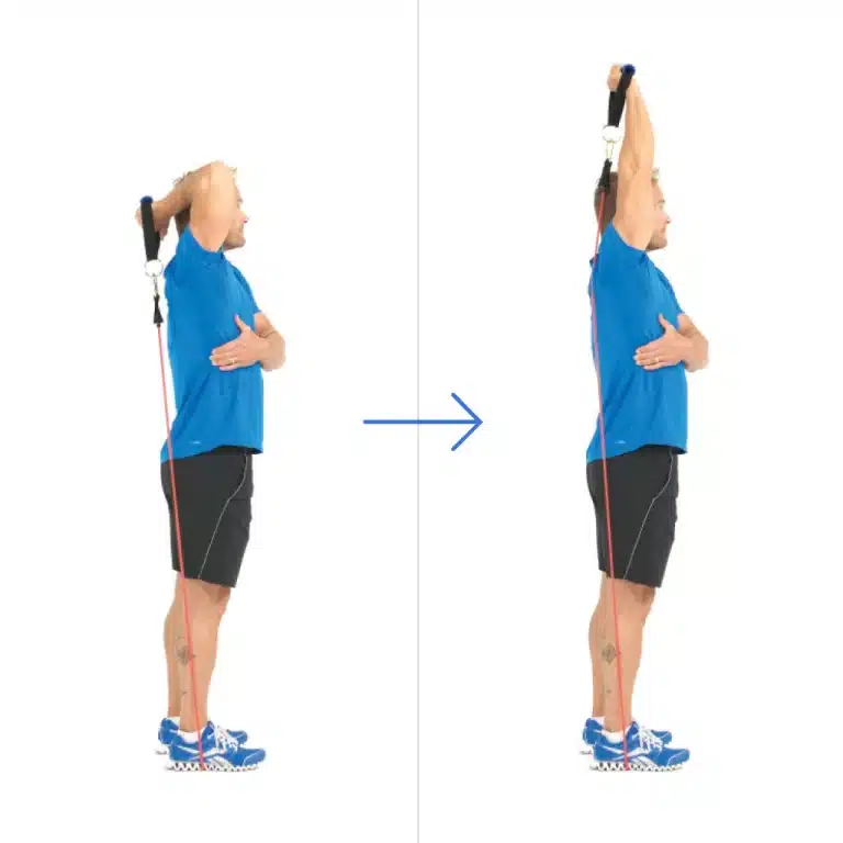  Triceps Extension 