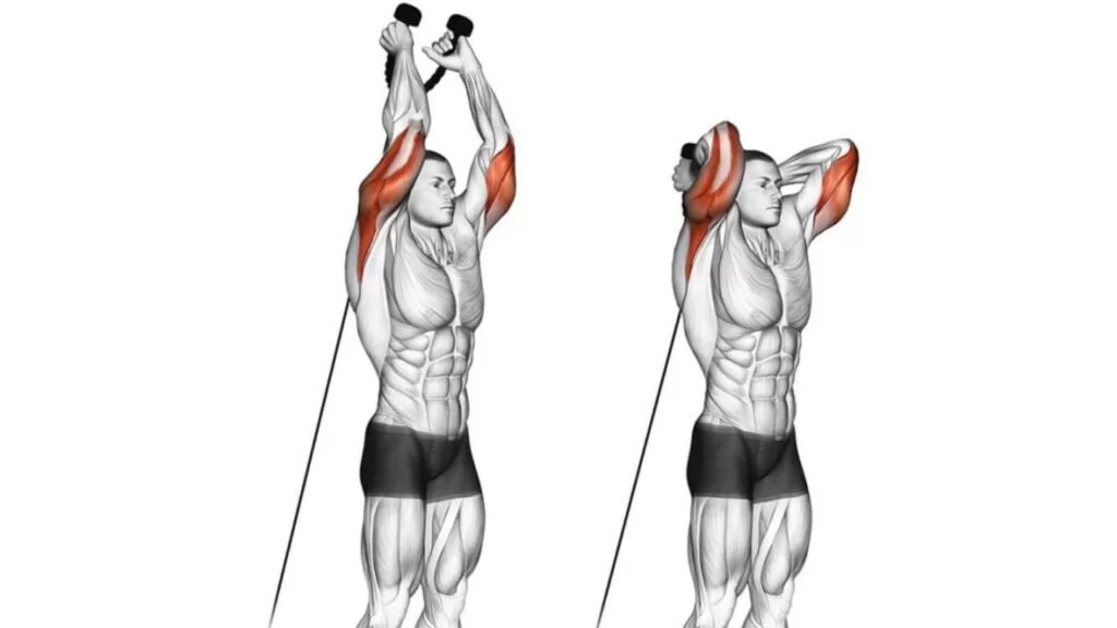 Overhead Triceps Extension (With Rope)