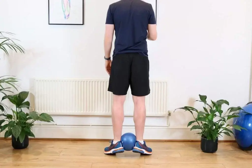 Posterior-tibialis muscle with-a-ball