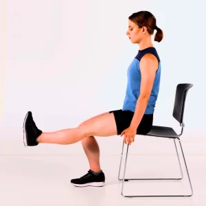 Seated Knee Extension