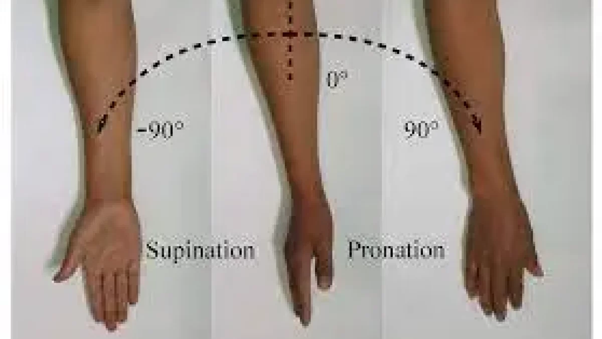 Supination: Rotating Your Foot and Forearm