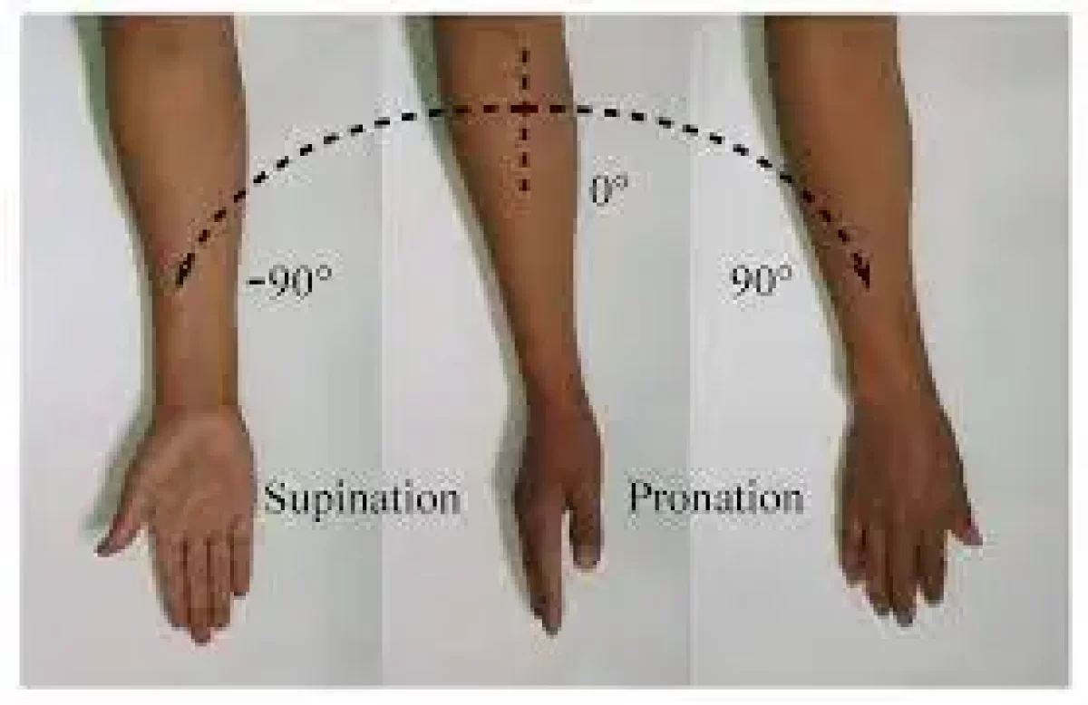 Pronation-supination movement angle.