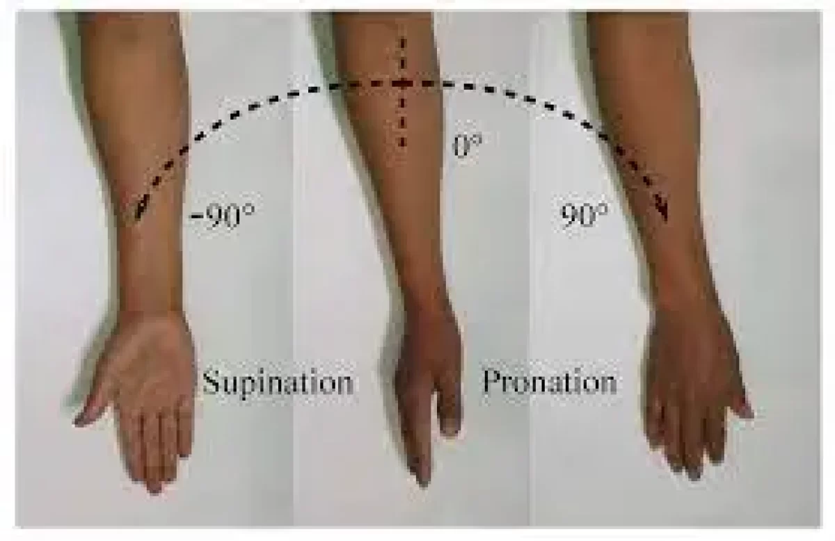 Is pronation/supination a movement part of the wrist or the