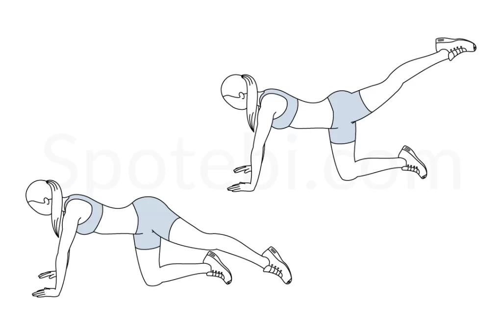 Lower cross syndrome corrective Exercise - Samarpan Physio