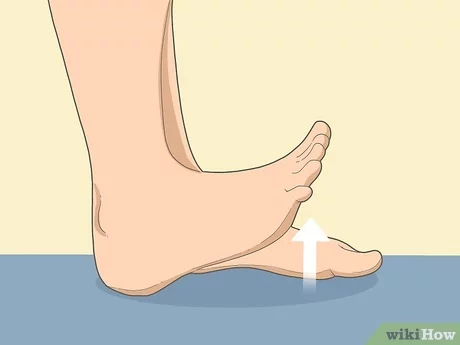 toe raise exercise
