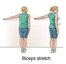 Biceps-Stretch