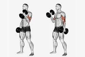 How to Get Bigger Arms: 8 Best Exercises for Biceps and Triceps