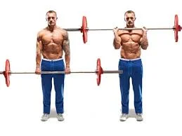 Barbell Reverse Curl