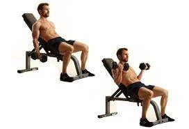 Incline Curl