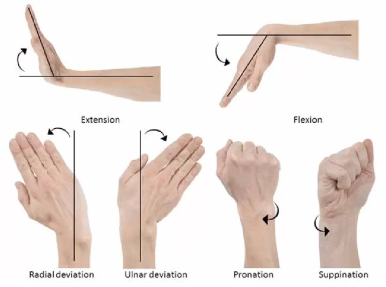 Motion of the Wrist and forearm
