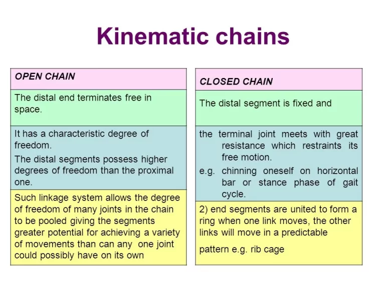 Open Kinetic Chain OKC Exercise Benefits Examples