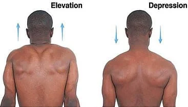 Scapular depression exercise