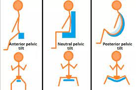 anterior vs posterior pelvic tilt
