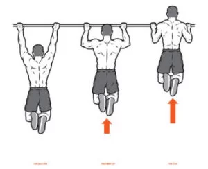 basic pull up