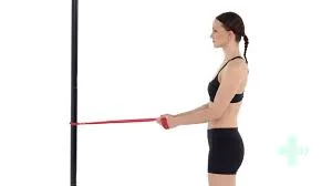 Band Scapular Retraction and Depression Exercise