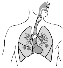 pulmonary rehabilitation patient education