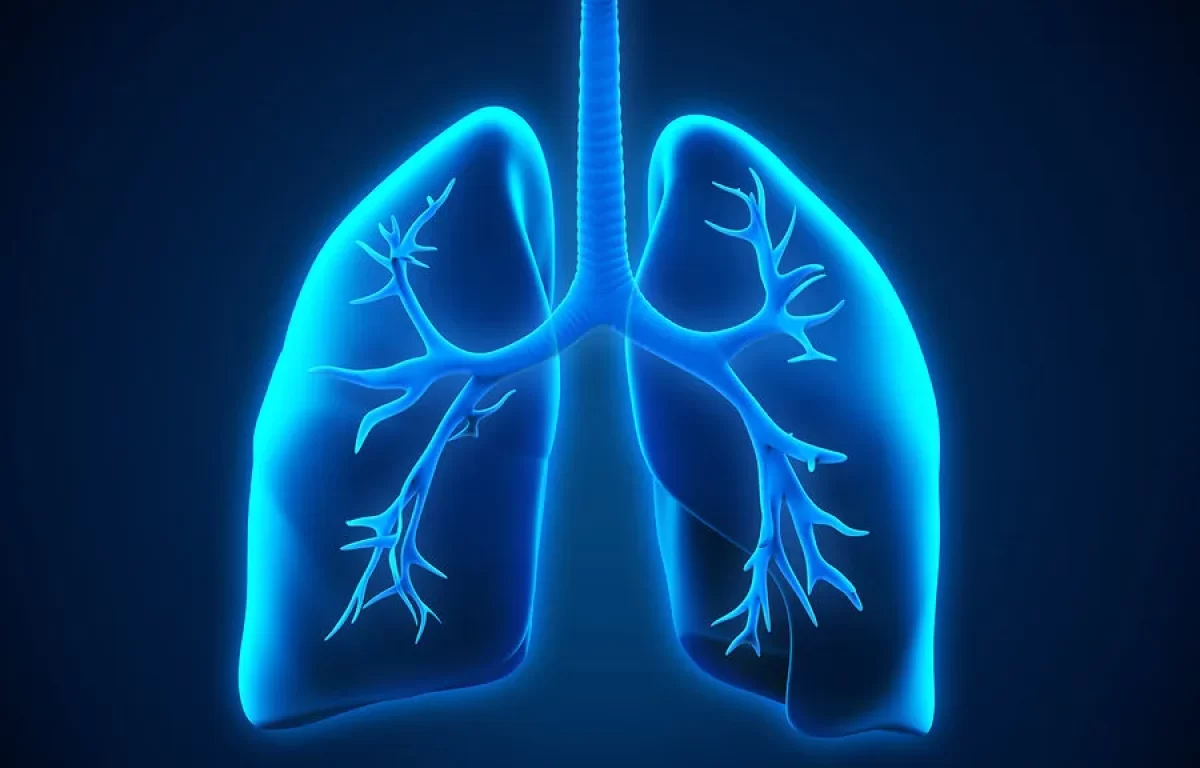 pulmonary rehabilitation2