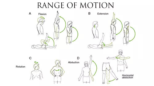 shoulder active movements