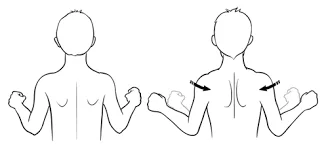 Exercises For Scapular Retraction EPKSLC