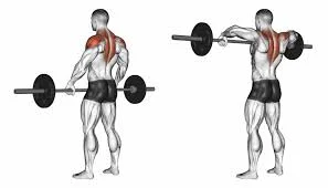 12 Best Scapular Retraction Exercise - How to Do It and Its Benefits