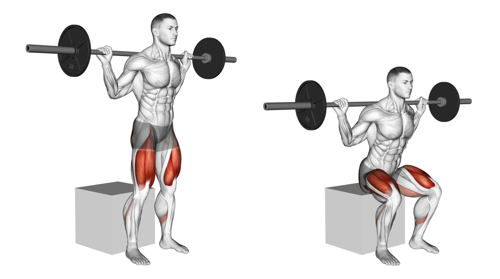 barbell-box-squat