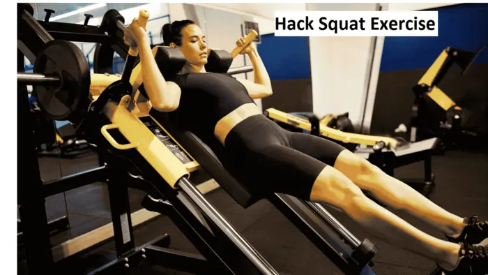 Hack Squat Exercise