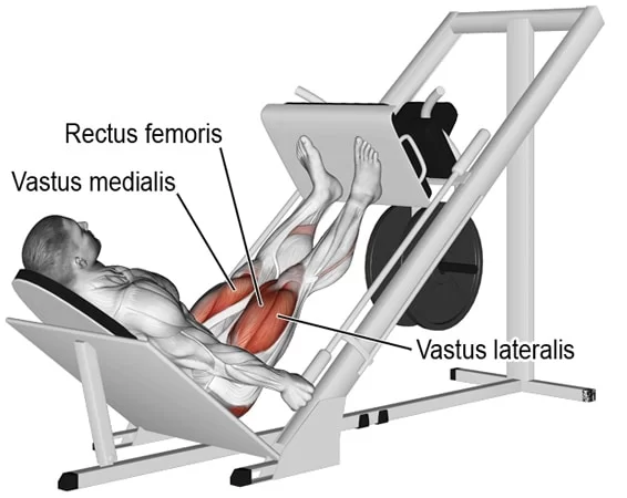 Leg-Press-Exercise