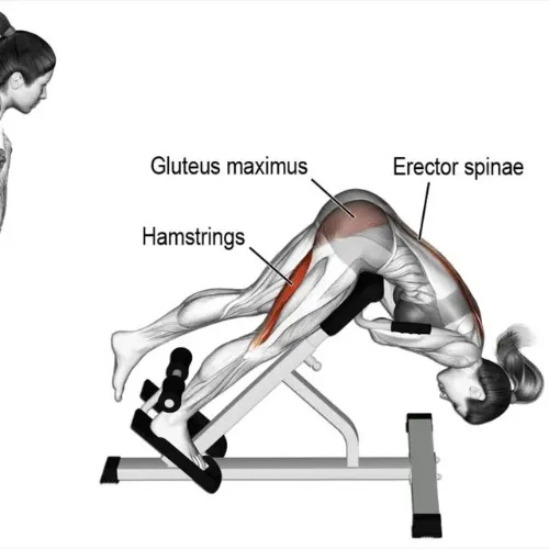 Smith machine donkey kick